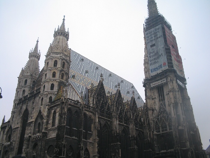 vieden (9).jpg